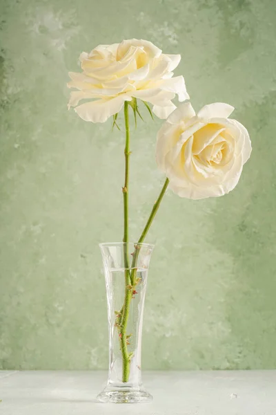 Dos Rosas Blancas Jarrón Sobre Fondo Verde Suave Con Espacio — Foto de Stock