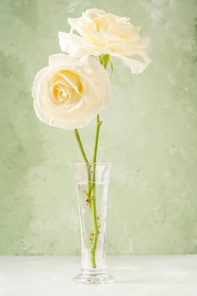 Dos Rosas Blancas Jarrón Sobre Fondo Verde Suave Con Espacio — Foto de Stock