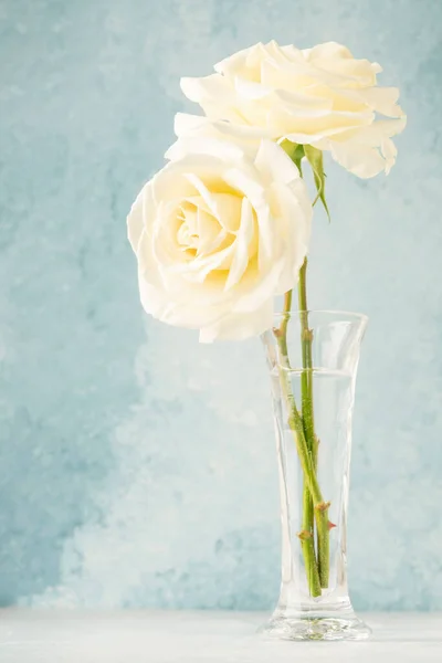 Dos Rosas Blancas Jarrón Sobre Fondo Azul Suave Con Espacio — Foto de Stock