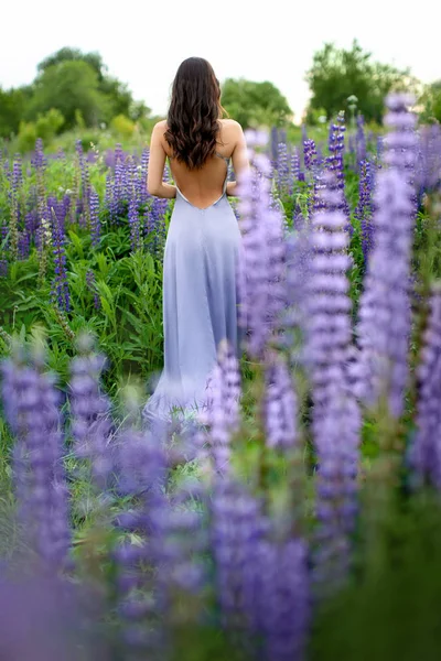 Een Meisje Een Jurk Staat Een Veld Van Lupinen — Stockfoto