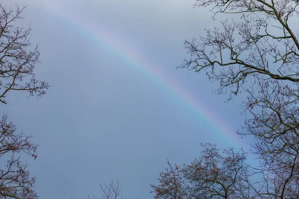 Regenboog in de blauwe lucht — Stockfoto