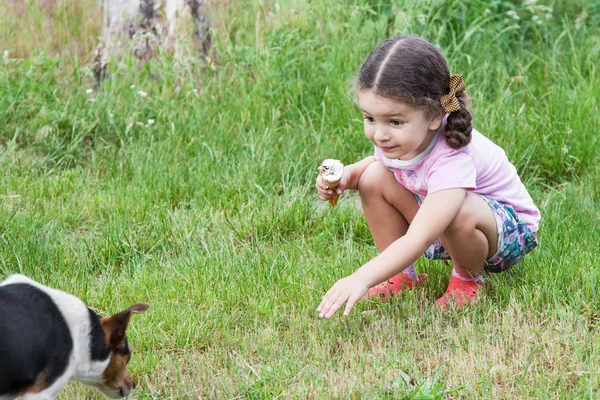 女の子は屋外で犬と遊ぶ — ストック写真