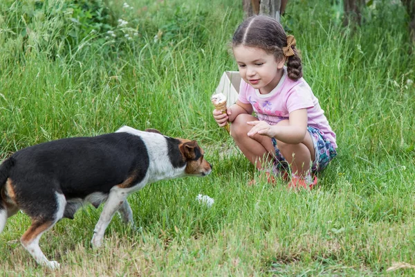 Mädchen spielt mit Hund im Freien — Stockfoto