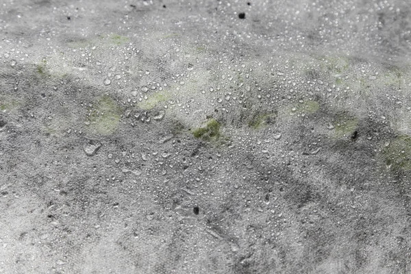 Mudas sob tecido não tecido — Fotografia de Stock