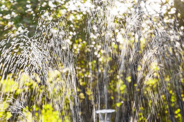 庭の自動水やり — ストック写真