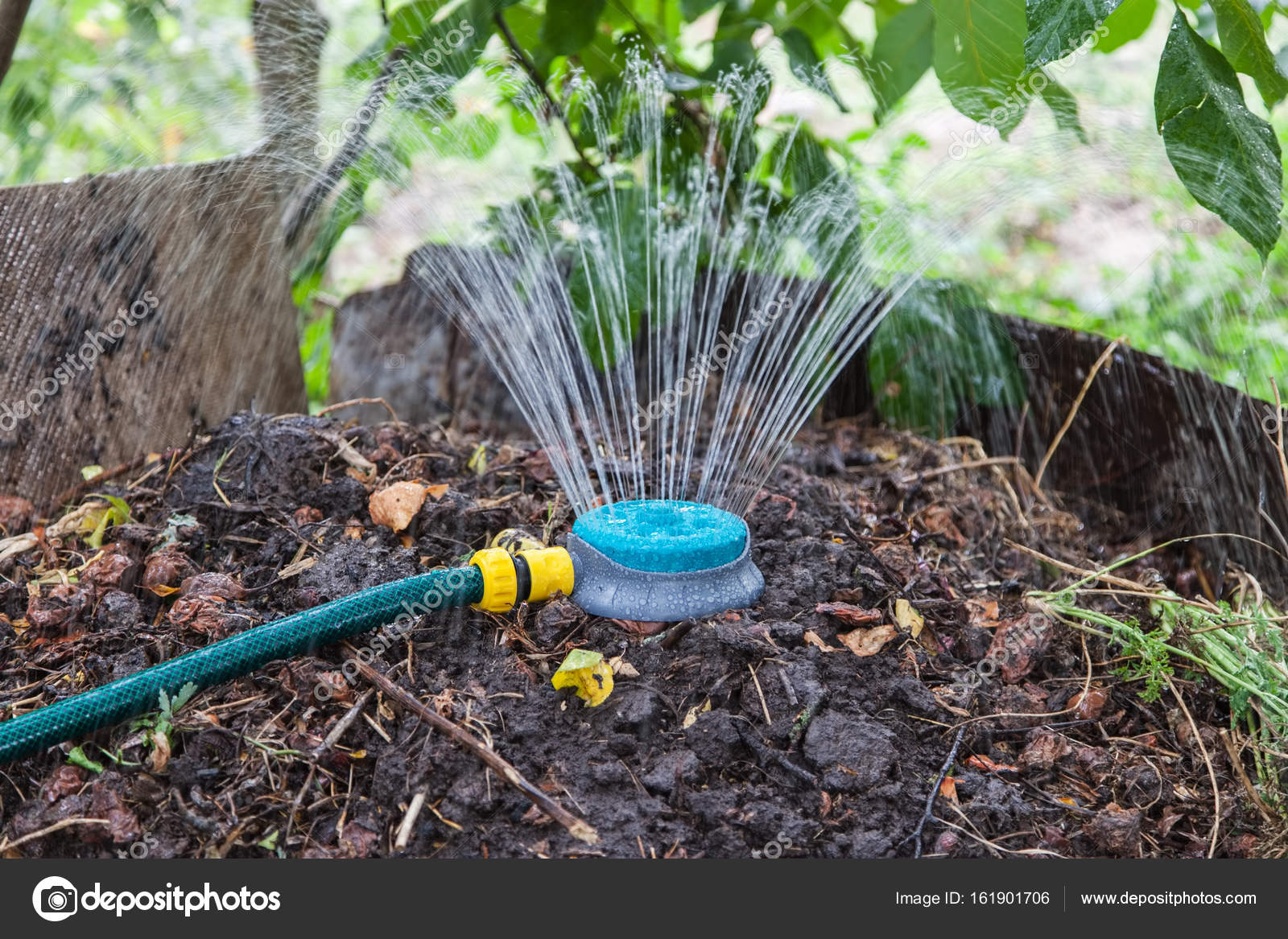 Humidification compost pile using sprinkler — Stock Photo © Photozirka 161901706