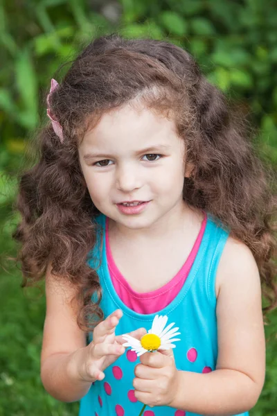 Girl with daisy in her hands — Stock Photo, Image