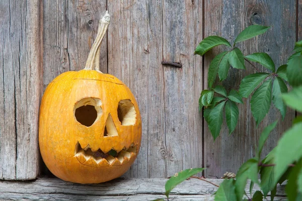 Halloween-Kürbis auf Holzgrund — Stockfoto
