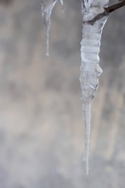 güzel parlak şeffaf buz sarkıtları