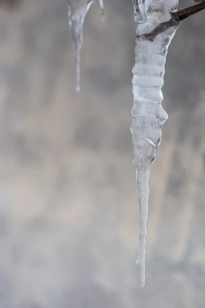 Bellissimi ghiaccioli trasparenti lucenti — Foto Stock