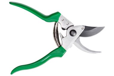 Bahçe secateurs beyaz izole
