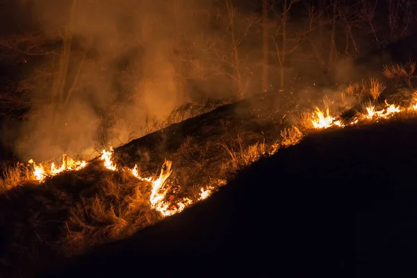 Bushfire en la noche —  Fotos de Stock