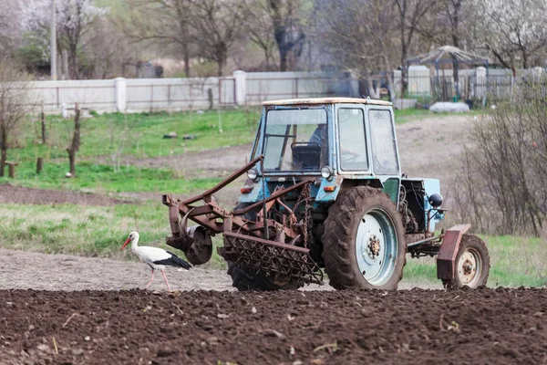 Gólya mellett a traktor ekék a föld — Stock Fotó