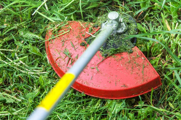 Cortando hierba en el césped de cerca — Foto de Stock