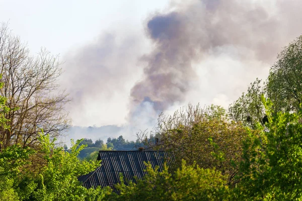 Waldbrandblick aus der Ferne lizenzfreie Stockfotos