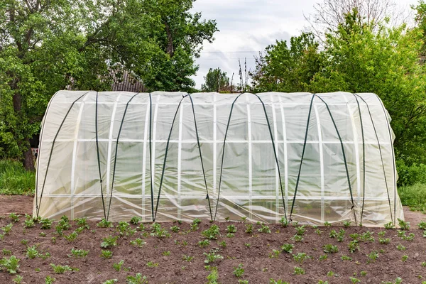 Greenhouse for growing vegetables in garden — Stock Photo, Image