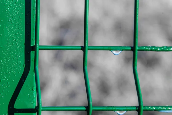 Fragmento da cerca é coberto com gotas de orvalho — Fotografia de Stock