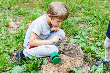 Çocuk yuvası vahşi civciv beslemek