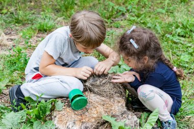 Çocuk yuvası vahşi civciv beslemek