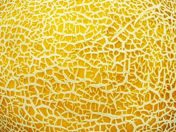 Detailní textury žlutý meloun — Stock fotografie