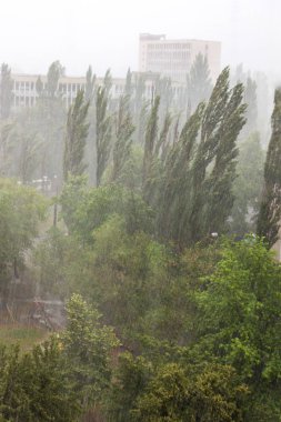 Şehirde yağmur dökme yaz