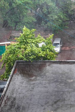 Şehirde yağmur dökme yaz