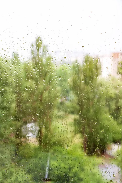Chuva de verão no fundo embaçado da cidade — Fotografia de Stock