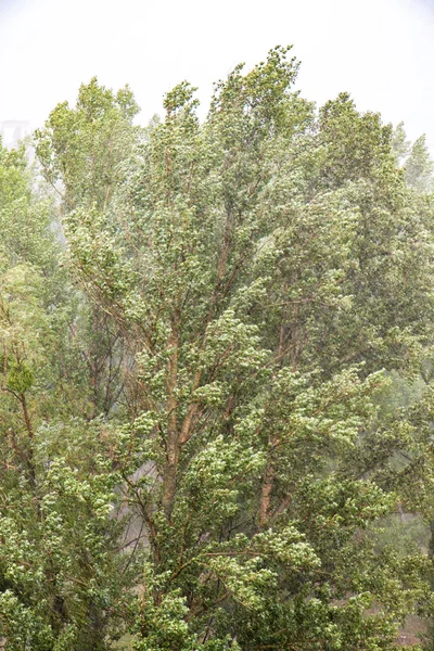 Estate pioggia battente in città — Foto Stock