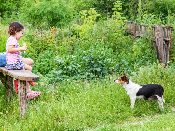 Glückliches Kleines Mädchen Und Mischlingshund Freien — Stockfoto