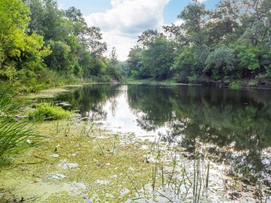 Arka planda bir balıkçı olan nehir manzarası