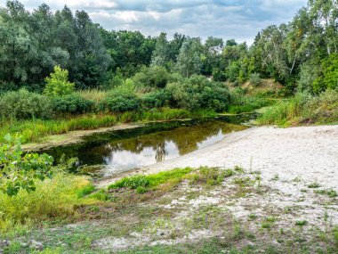 Yaz manzarası, ovalık orman nehri.