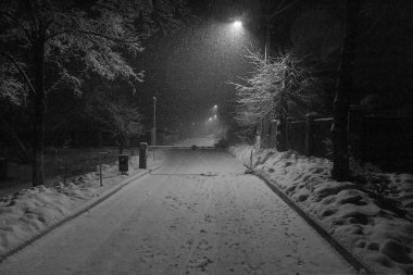 Tek renkli kış gecesi manzarası ve düşen kar taneleri