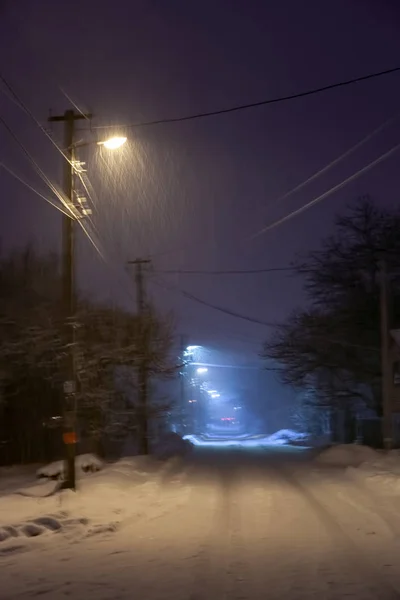 Winter night landscape with falling snowflakes