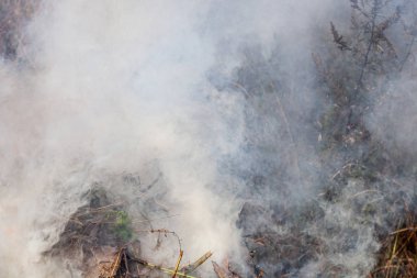 Çayırlarda ateş, yoğun dumanlar yükseliyor.