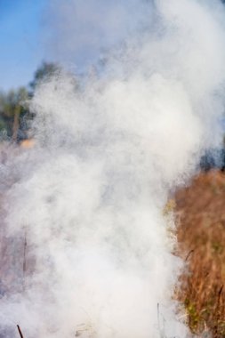 Çayırlarda ateş, yoğun dumanlar yükseliyor.