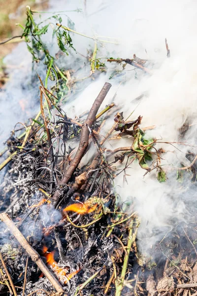 Bonfire, brandende takken en bladeren — Stockfoto