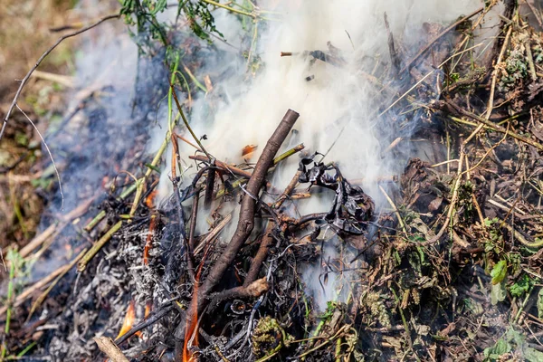 Bonfire, brandende takken en bladeren — Stockfoto