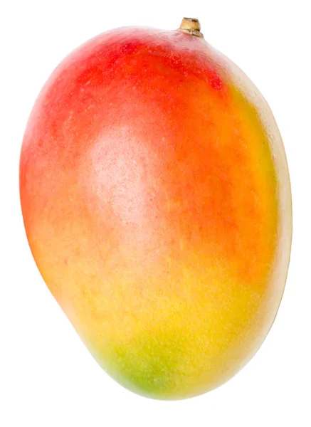 Mango isolato su bianco — Foto Stock