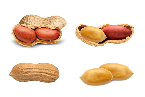 Peanuts isolated on white — Stock Photo, Image