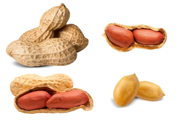 Peanuts isoliert auf Weiß — Stockfoto