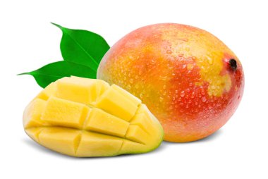 Mango beyaz üzerine izole