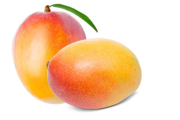 Mango aislado en blanco — Foto de Stock