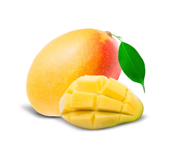 Mango isoliert auf weiß — Stockfoto