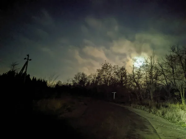 Nachtlandschaft Wald Mond Und Wald Wolken Auf Dem Hintergrund Des — Stockfoto