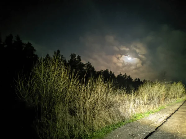 night landscape in the forest. moon and forest. clouds on the background of the moon.