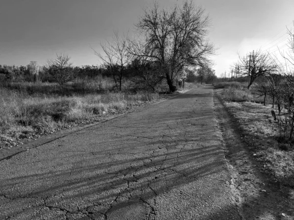 Paesaggio Bianco Nero Strada Lontananza — Foto Stock