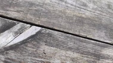 Yaşlı bir ağacın dokusu. ahşap iplik