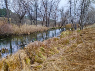 Nehirli sonbahar manzarası. Dar nehir.