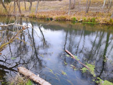 Nehirli sonbahar manzarası. Dar nehir.