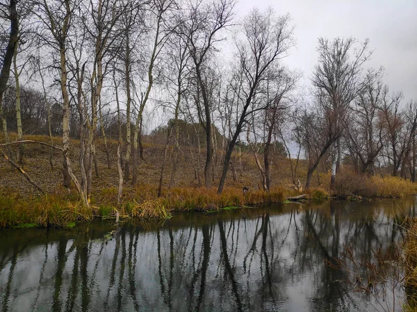 Herbstlandschaft Mit Einem Fluss Enger Fluss — Stockfoto